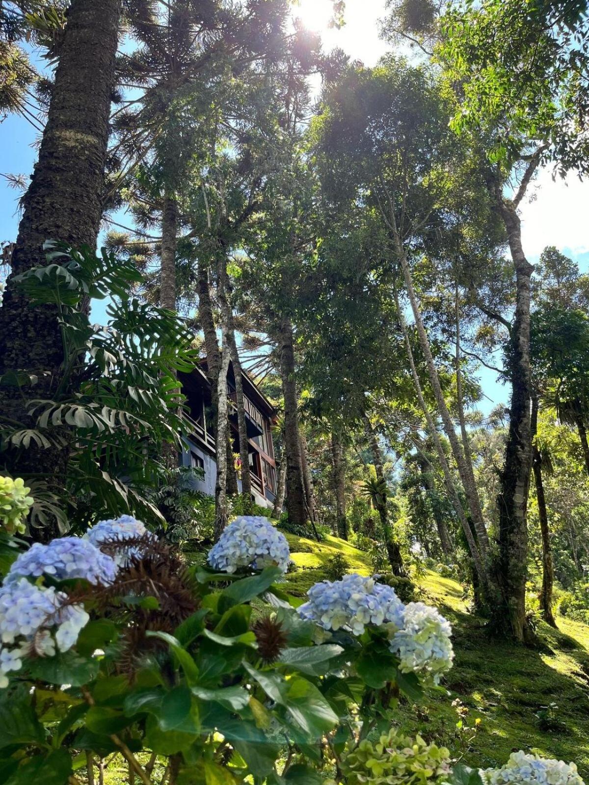 Casa Kether - Refugio Em
